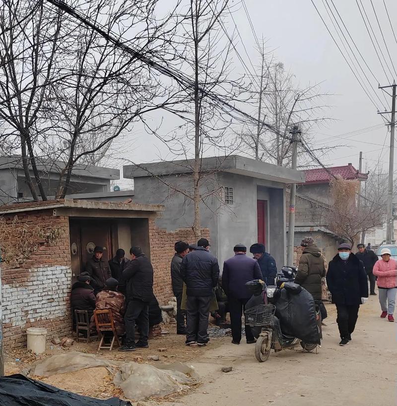 我的世界村民聚集在一起