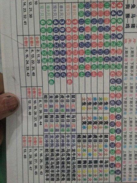 生肖代表总汇大全