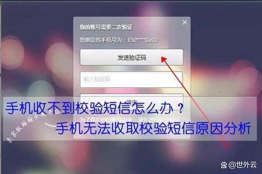支付宝短信验证码登录不安全截图2