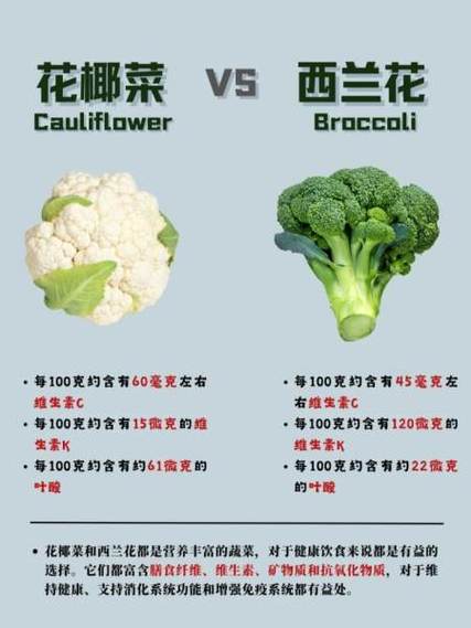 菜花的种类