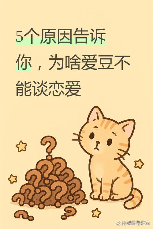 和爱豆联姻以后全文免费阅读