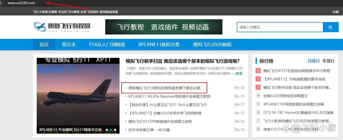 模拟飞行10下载