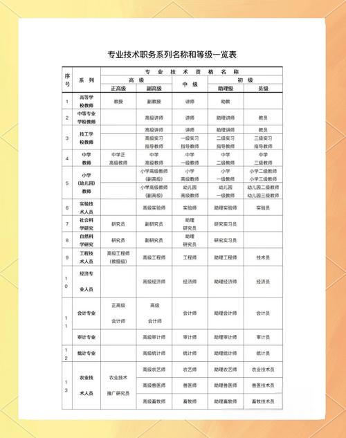 专业知识技能15个