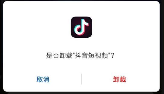 抖音该不该卸载截图2