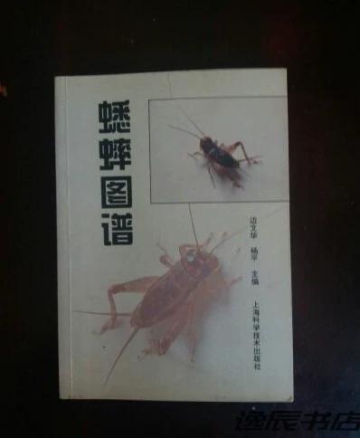 蛐蛐图谱