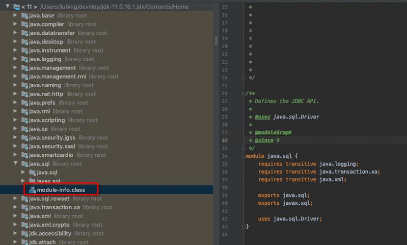 jdk11新特性