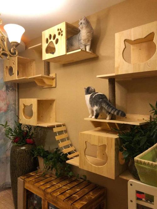口袋猫舍