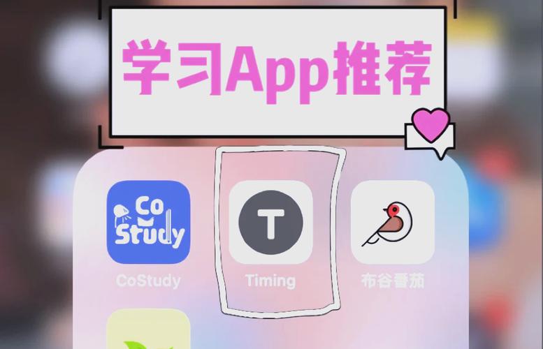 timing软件app
