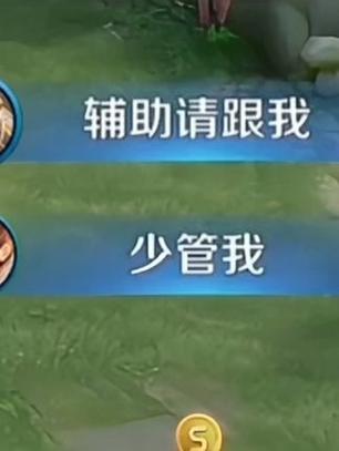 王者能不能出两个辅助