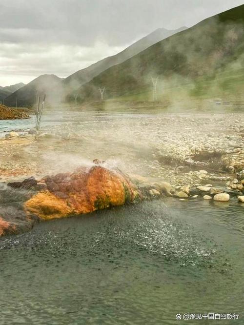 阿里温泉在哪里