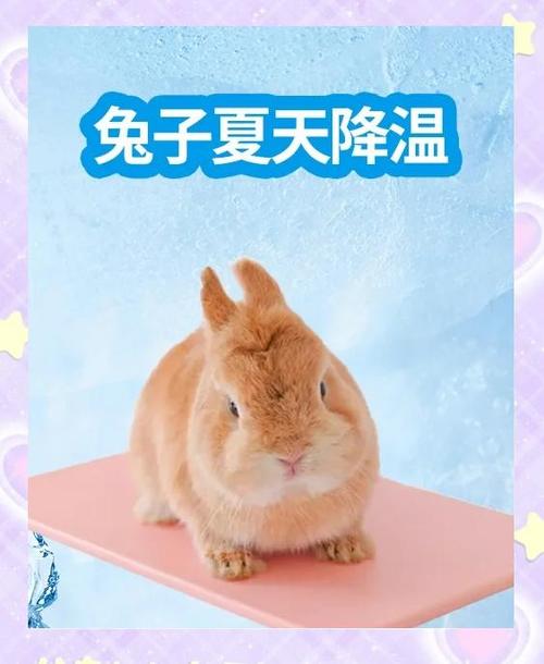 学兔兔官网