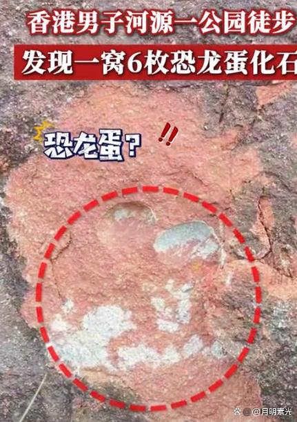 恐龙蛋一个多少钱