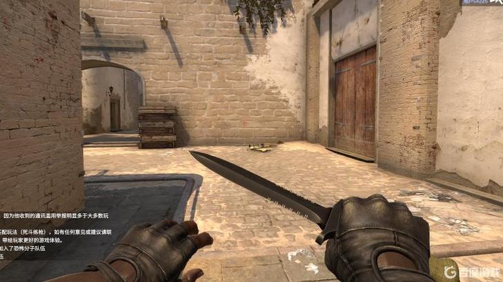 csgo特殊检视动作的刀截图3