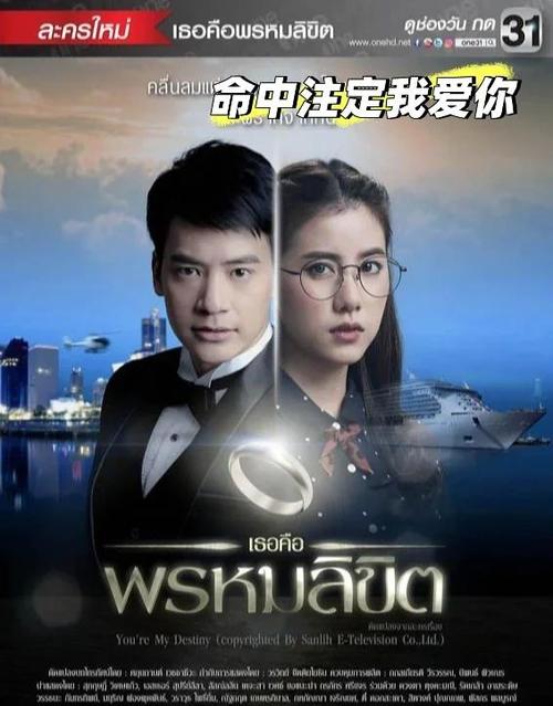 我命中注定的人 电视剧