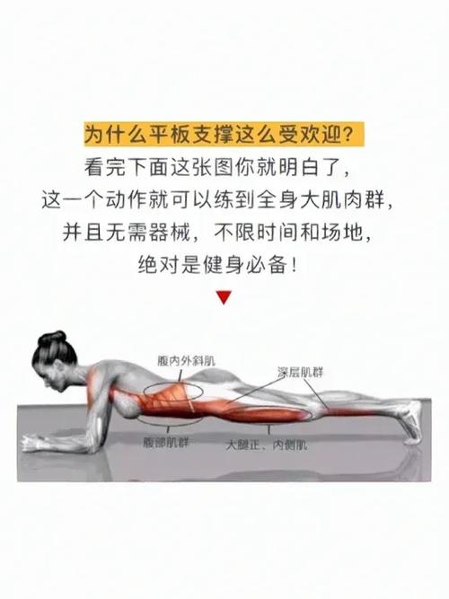 70岁平板支撑标准表截图3