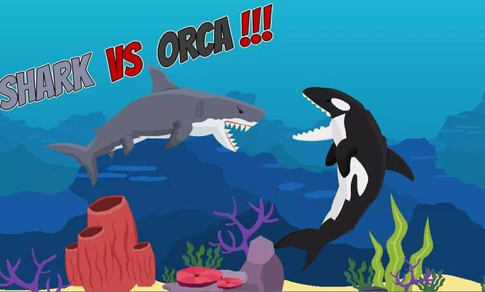 鲨鱼大战虎鲸视频
