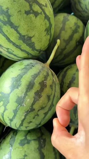 彩色西瓜截图2