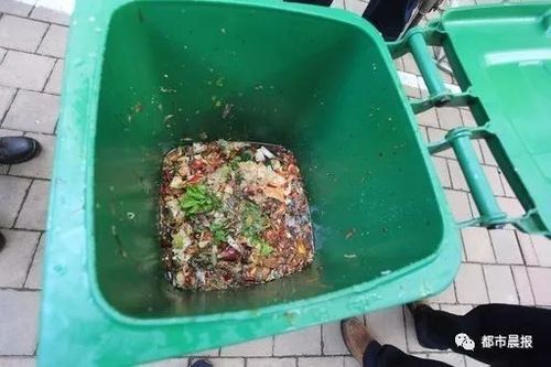 泔水是什么东西