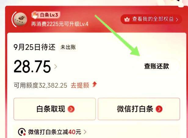 京东白条怎么一次性全部还款