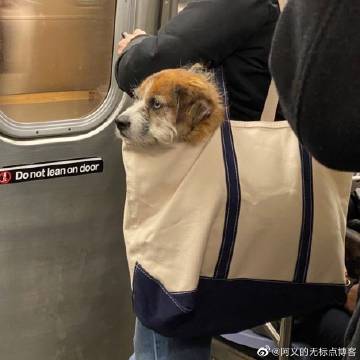 pretty不能随便说