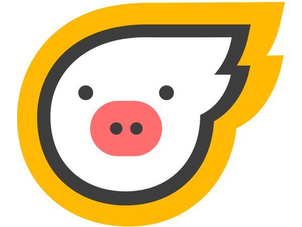 飞猪是支付宝旗下的吗