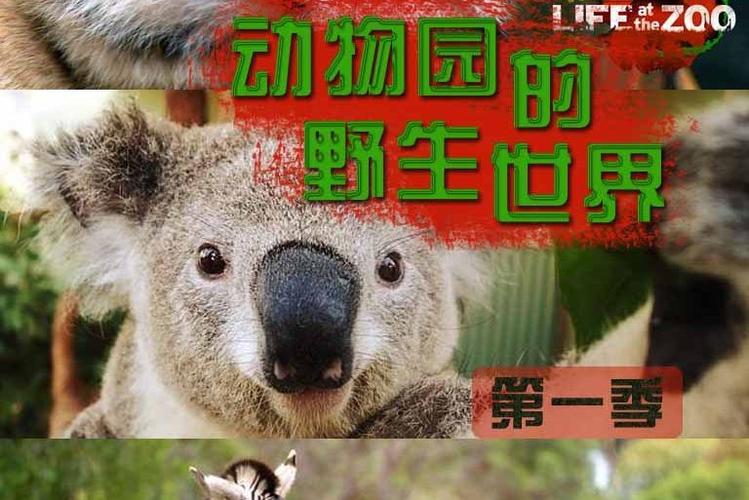 动物世界视频播放截图2