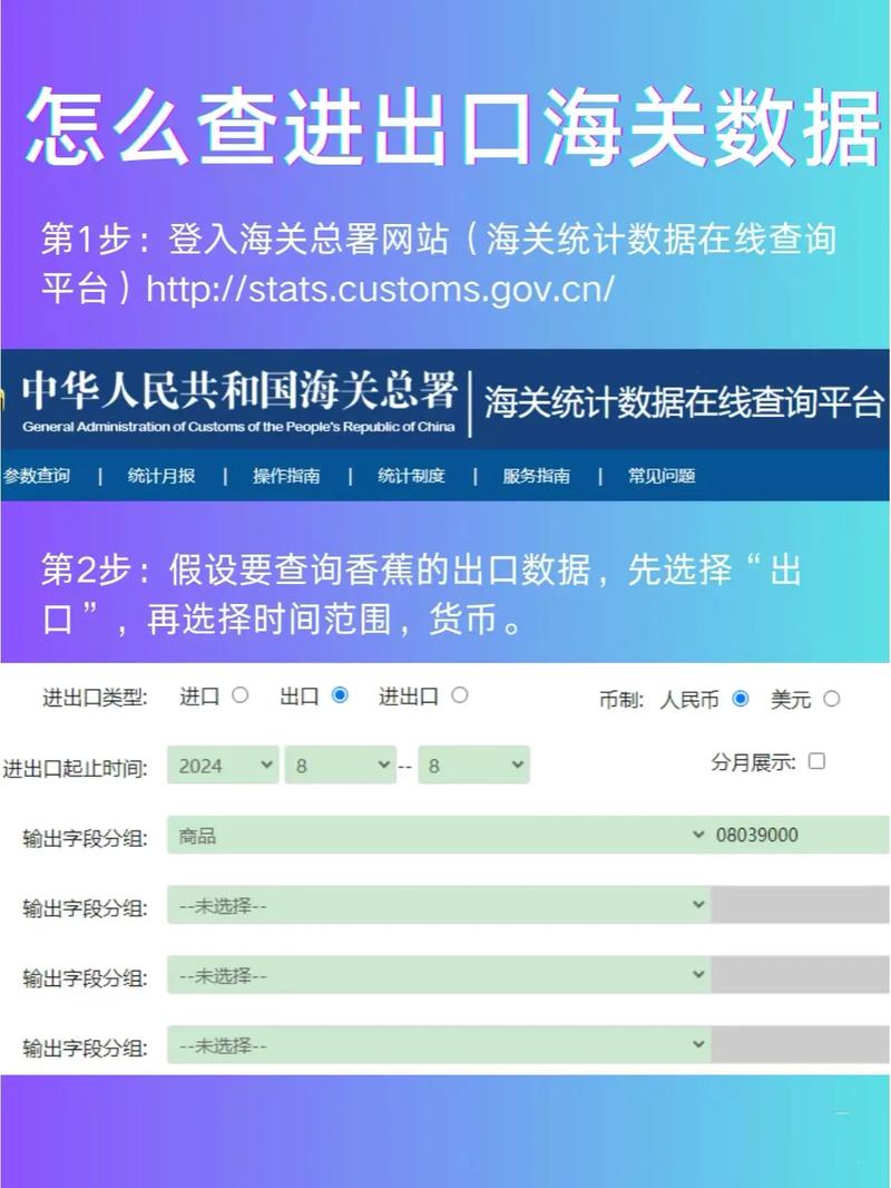 如何查询海关数据