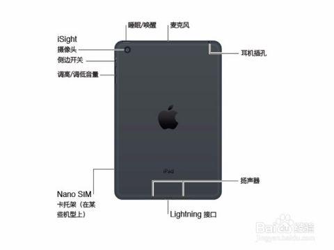 2018ipad有抬起唤醒吗