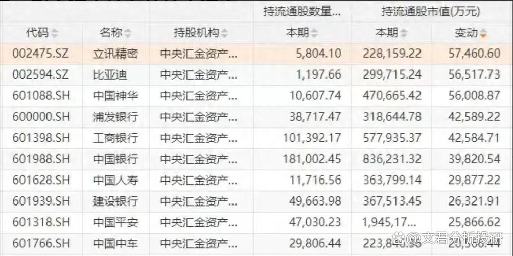 中央汇金股票