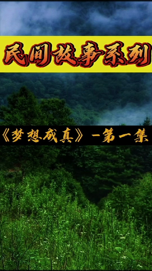 梦想成真才不是二哈百度云