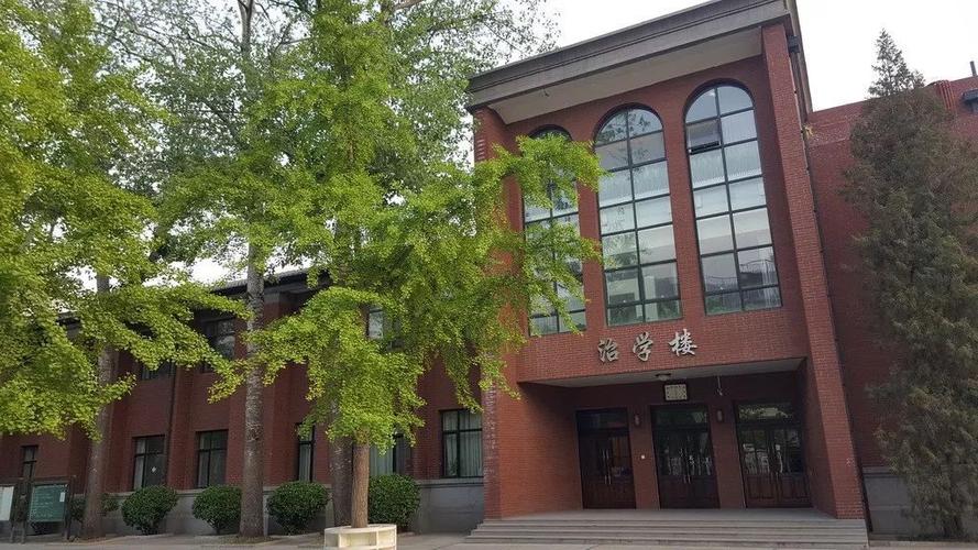 常青藤官网