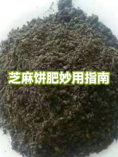 芝麻饼肥的功效与作用