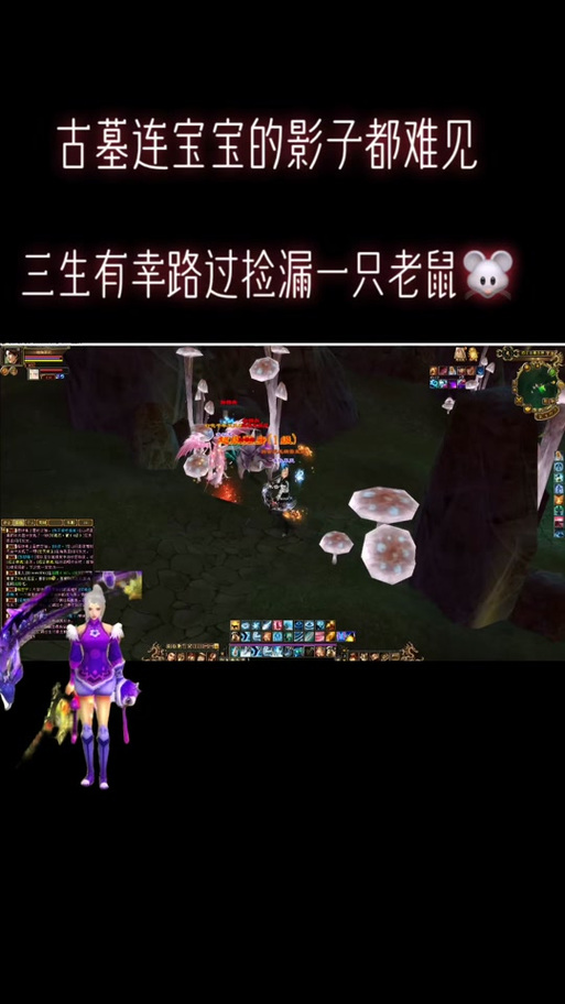古墓宝宝多久刷新一次