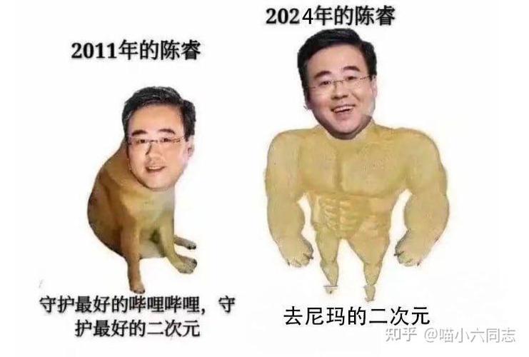 陈睿知乎回答截图