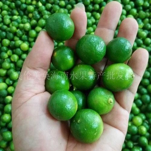新鲜小青桔泡水喝的功效与作用