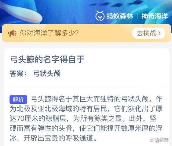 蚂蚁蚂蚁森林今天的正确答案是什么