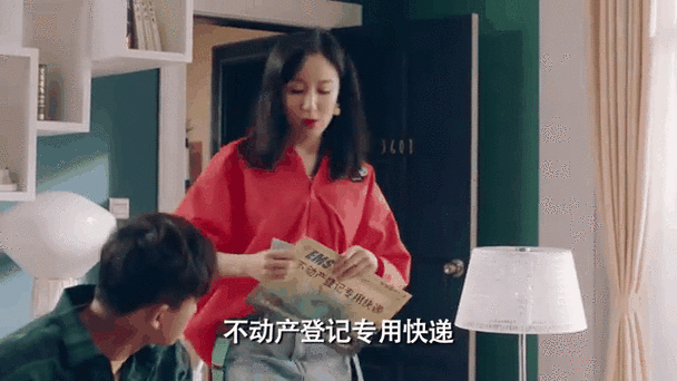 爱情公寓5名字忘记了