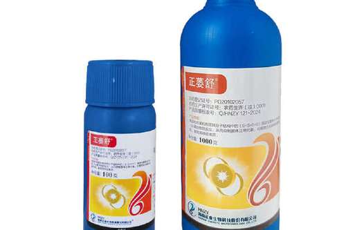 水稻浸种用什么药杀菌最好