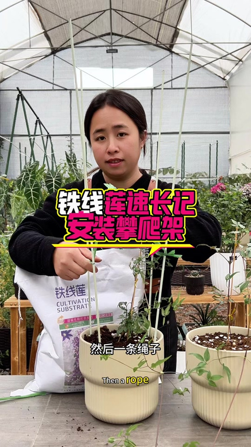 加快植物生长的指令