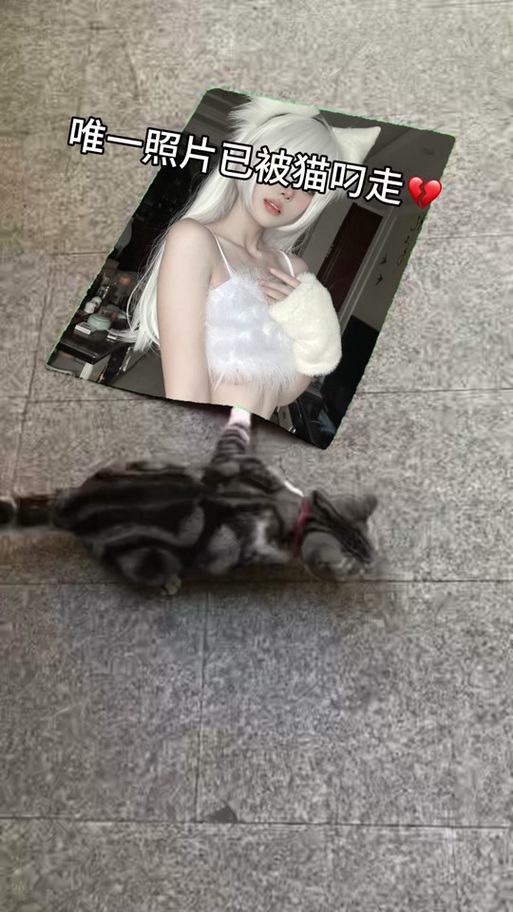 猫九酱推特照片