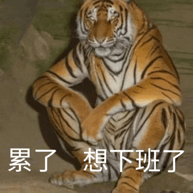 搞笑表情包 新款