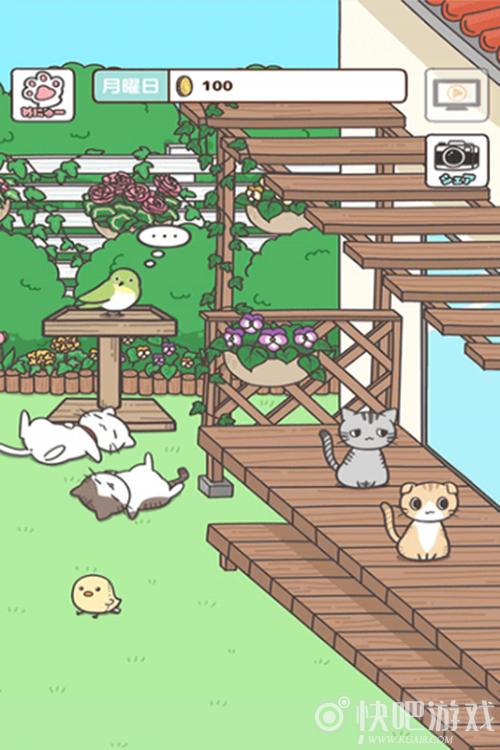 一个屋子里养猫的游戏