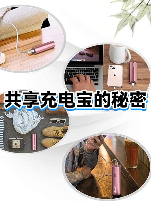 没有充电口的共享充电宝怎么充电