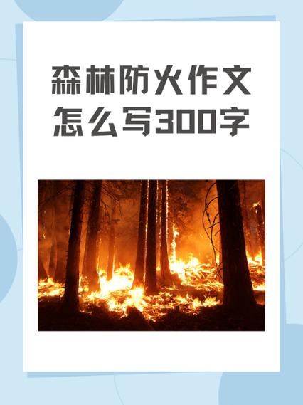 森林防火总结100字截图2