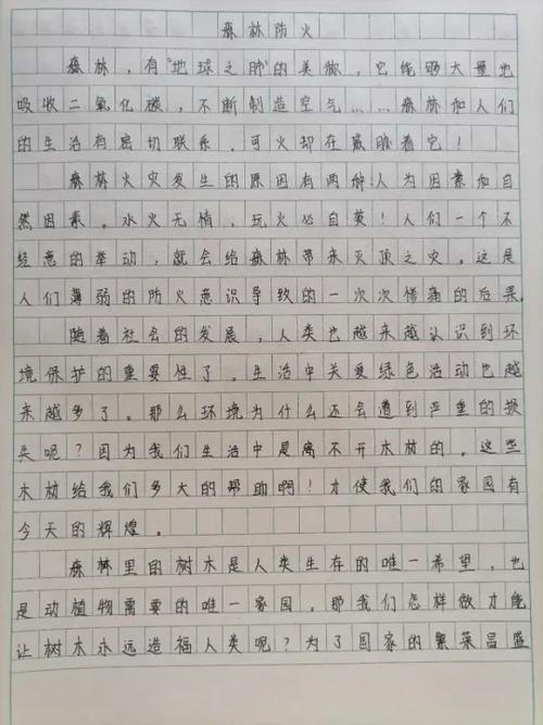 森林防火总结100字截图3
