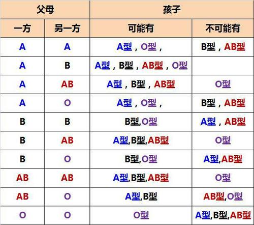 b型血的孩子