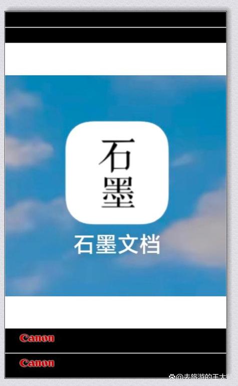 石墨文档app下载到本地