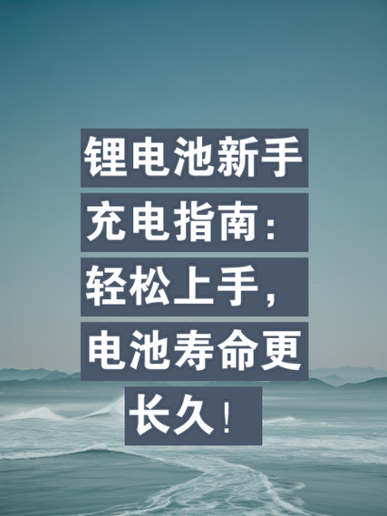 如何快速给锂电池充电