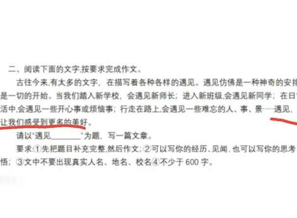 《相遇》中考满分作文