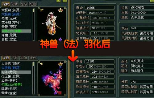 问道变异宠物可以染色吗